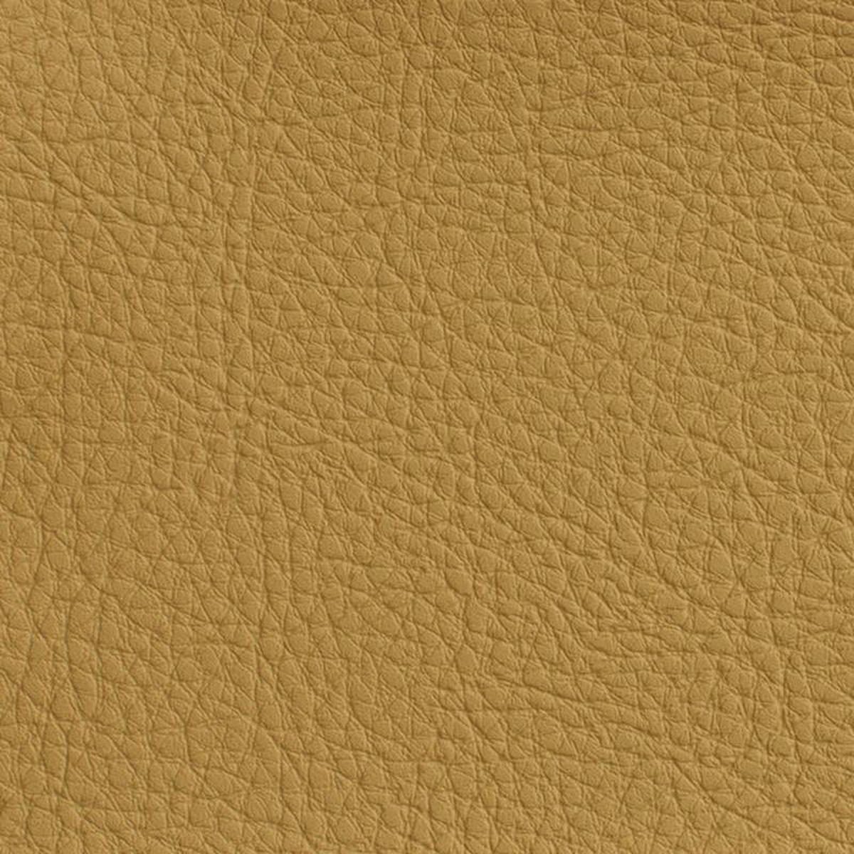 7170 Wheat by Charlotte Fabric