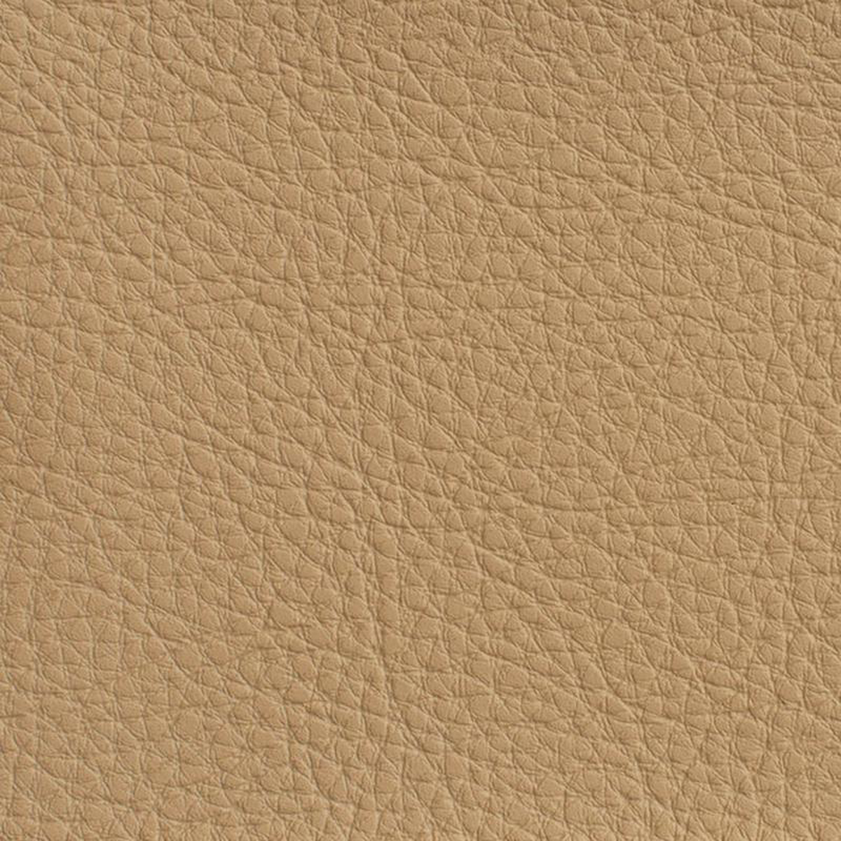 7179 Sand by Charlotte Fabric