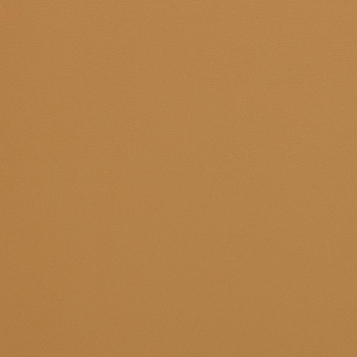 V306 Palomino by Charlotte Fabric