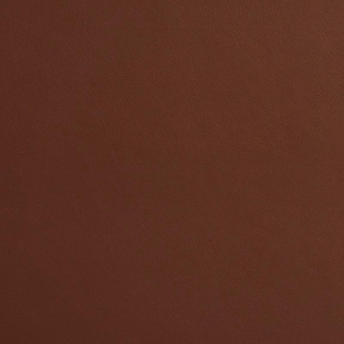 8212 Mocha by Charlotte Fabric