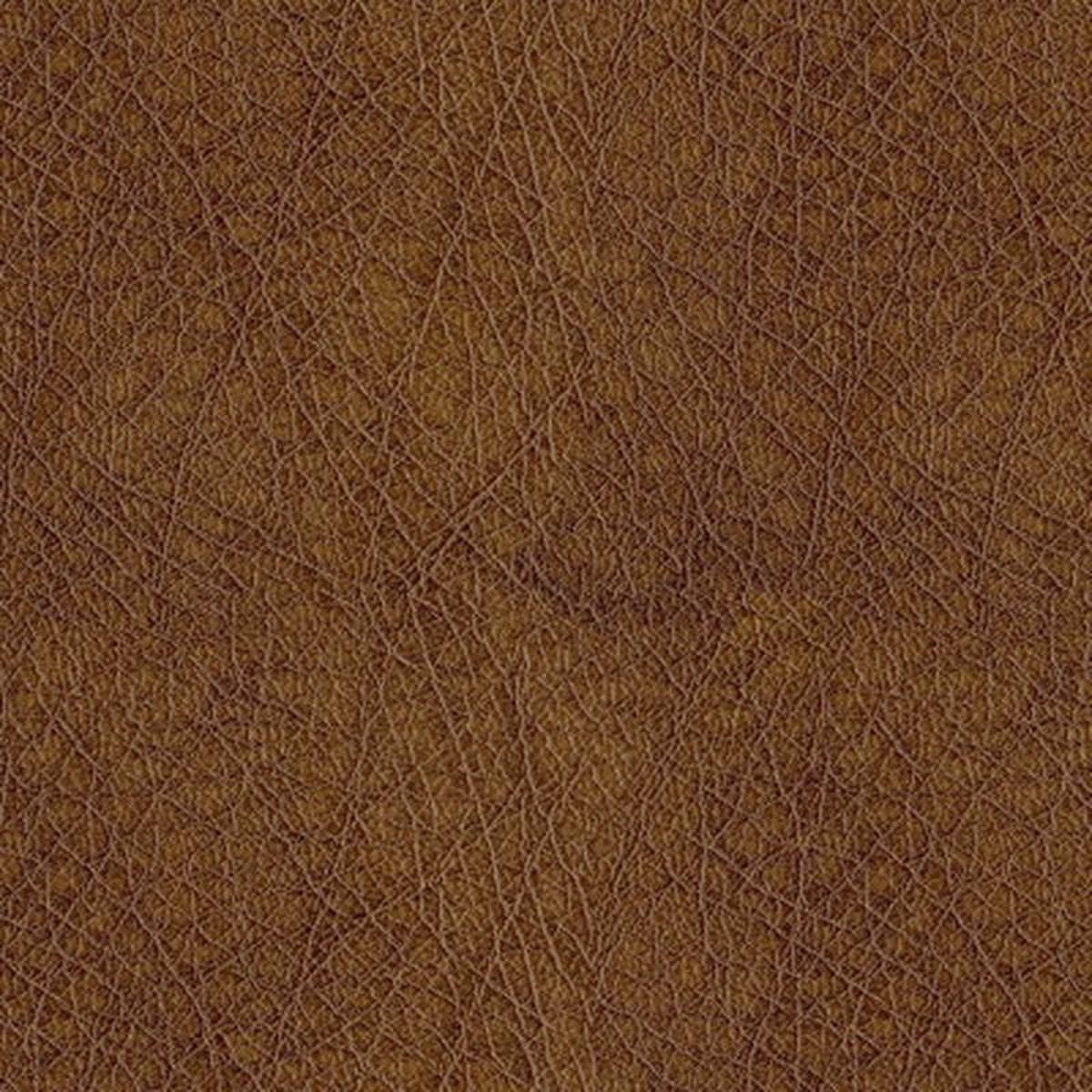 Houston 8009 Amber by ABBEYSHEA Fabric