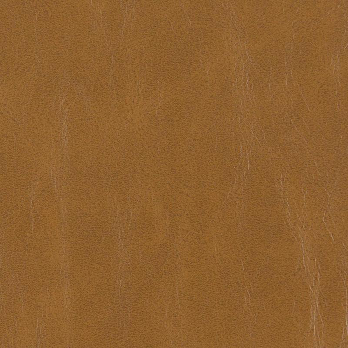 V214 Hazelnut by Charlotte Fabric