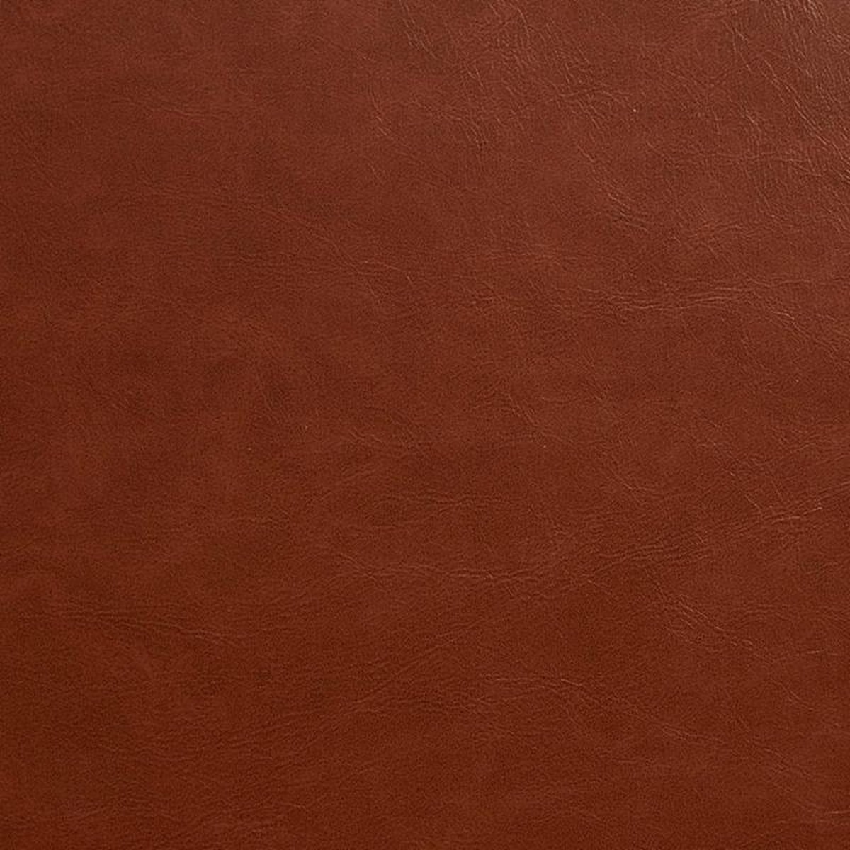 8249 Sable by Charlotte Fabric