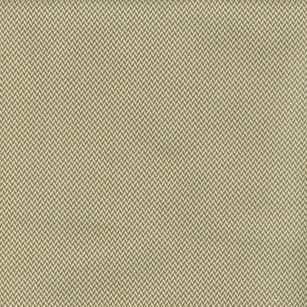 Odid-Turk Sugarcane by Magnolia Fabric