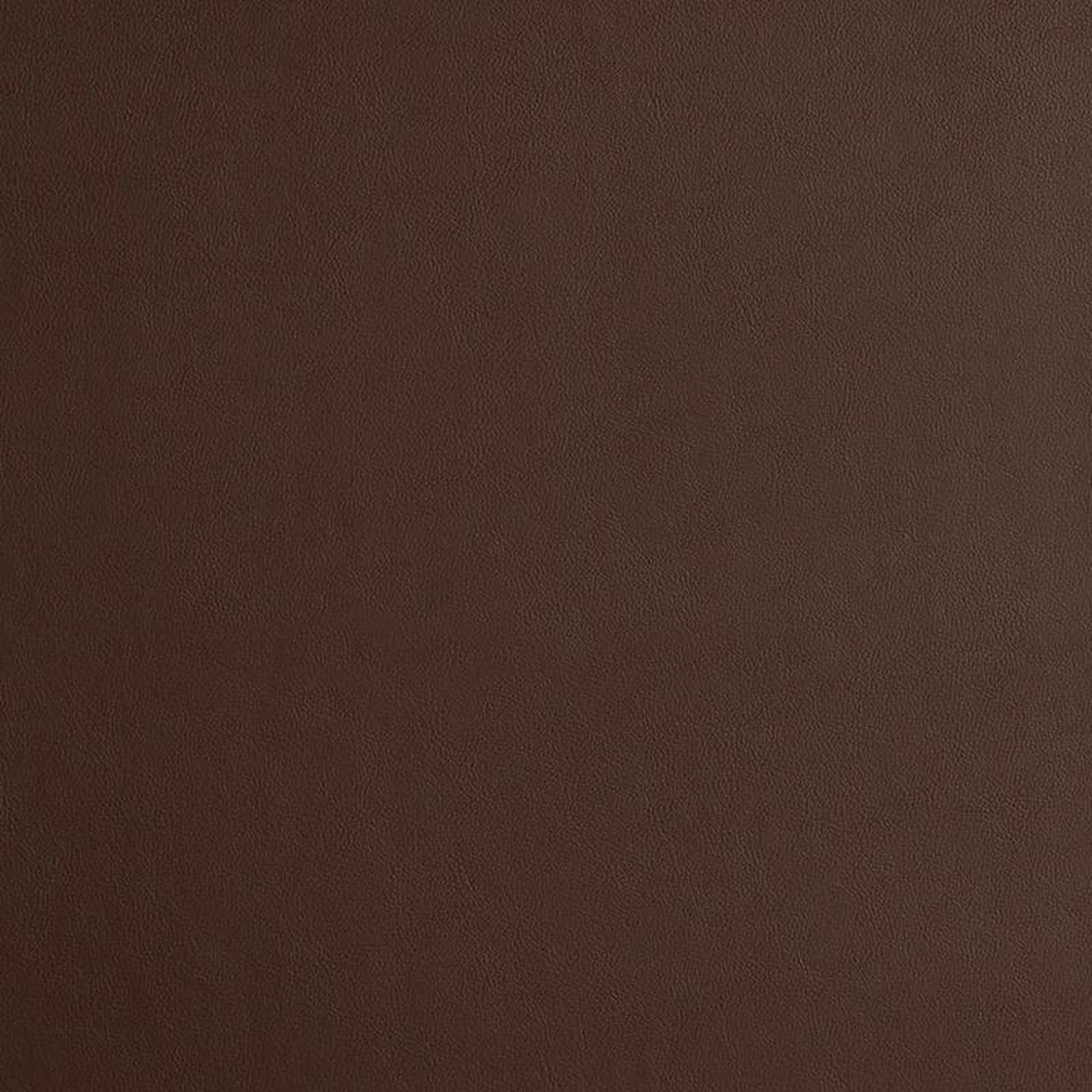 8224 Chocolate by Charlotte Fabric