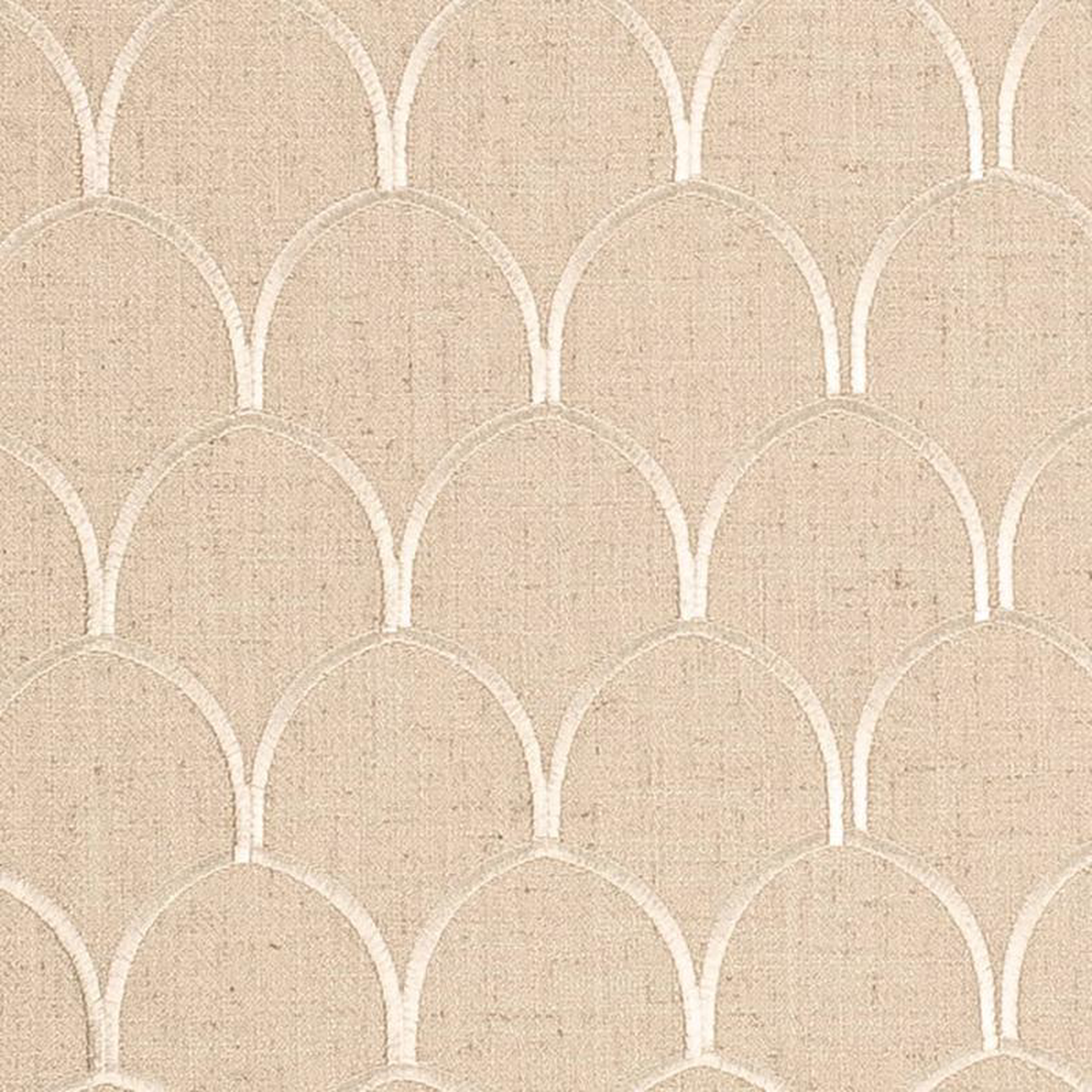 CB900-181 by Charlotte Fabric