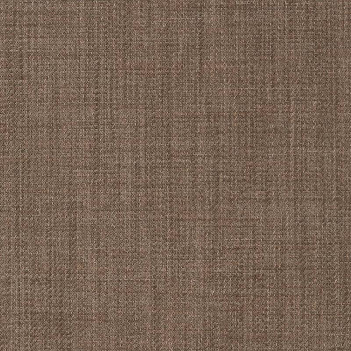 D2296 Driftwood by Charlotte Fabric