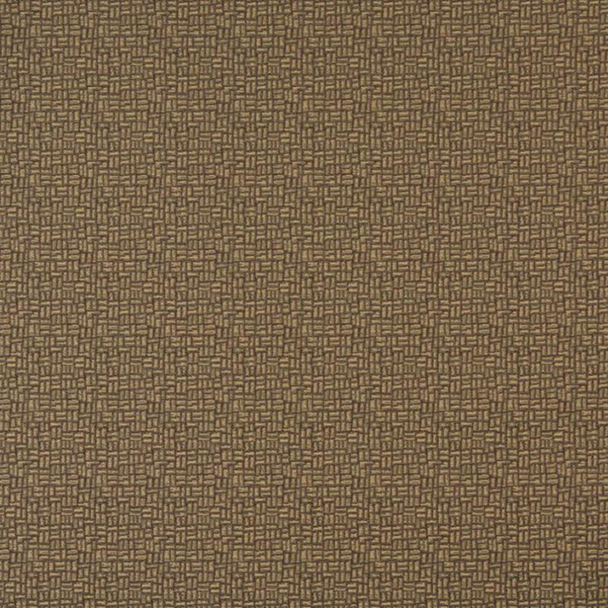 5269 Cafe by Charlotte Fabric