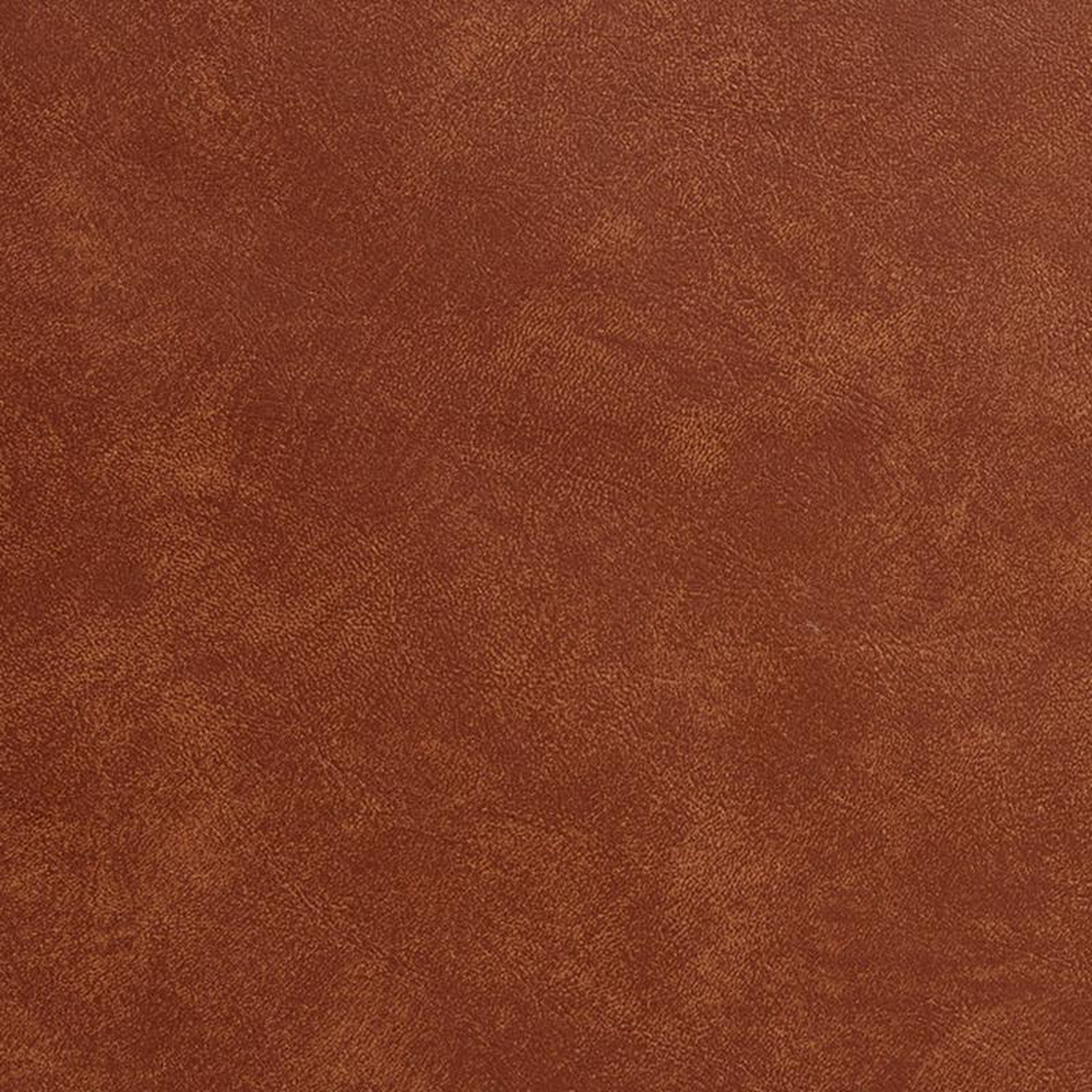7985 Brown by Charlotte Fabric