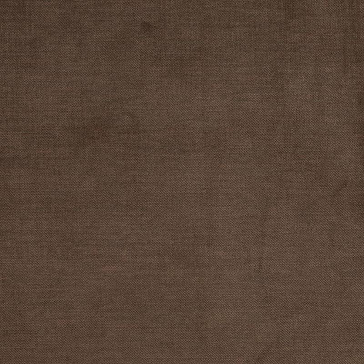 D3832 by Charlotte Fabric