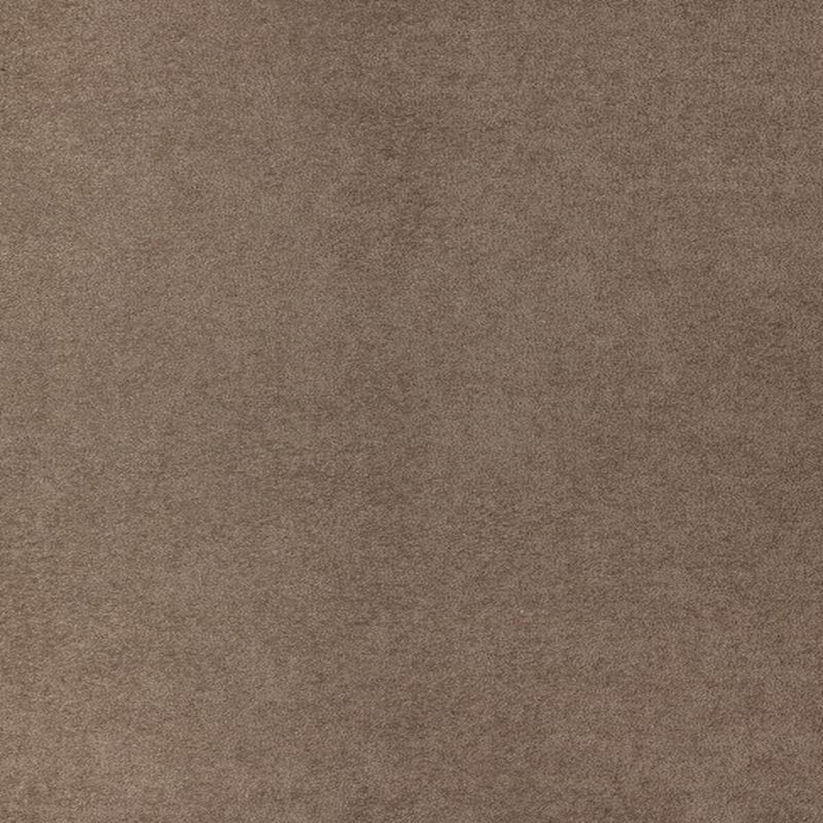 Starlight 12204 by Barrow Fabric