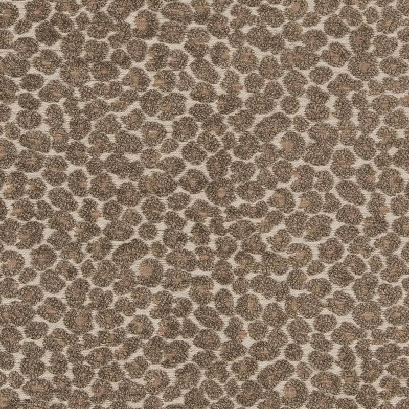 CB900-34 by Charlotte Fabric