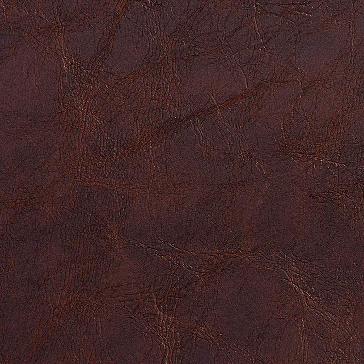 7072 Sable by Charlotte Fabric