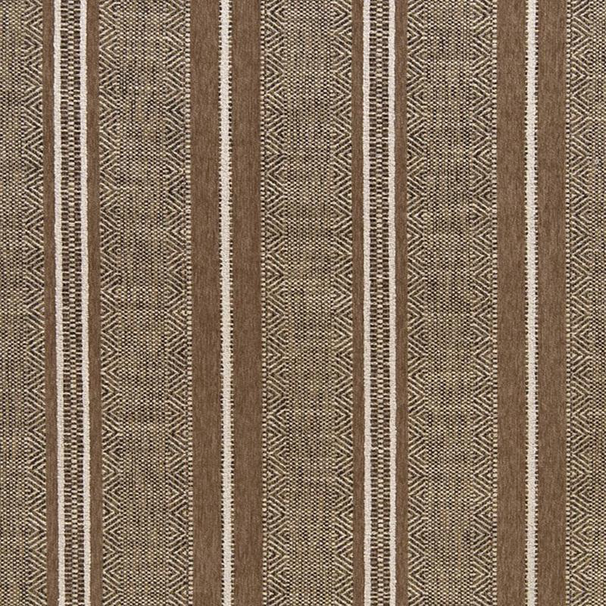 CB800-309 by Charlotte Fabric