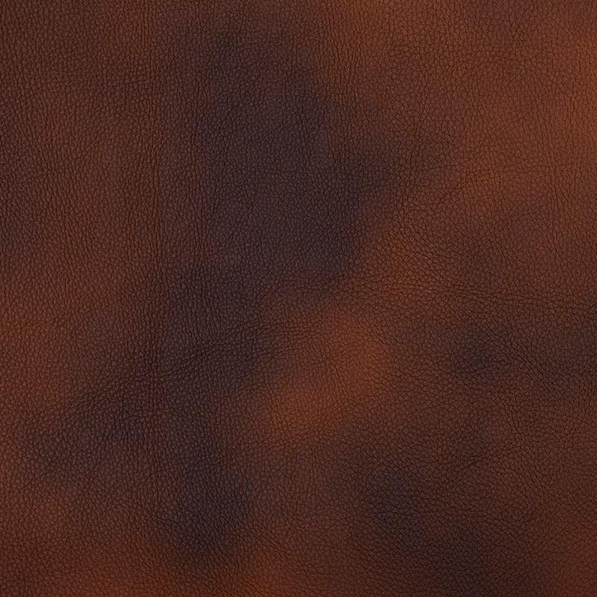 7469 Canyon by Charlotte Fabric