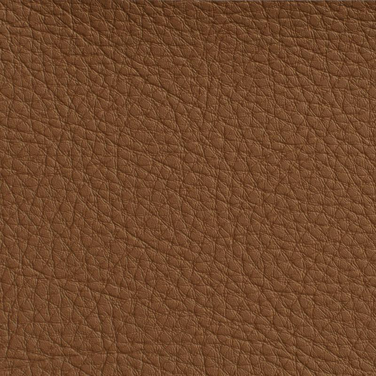 7176 Rawhide by Charlotte Fabric