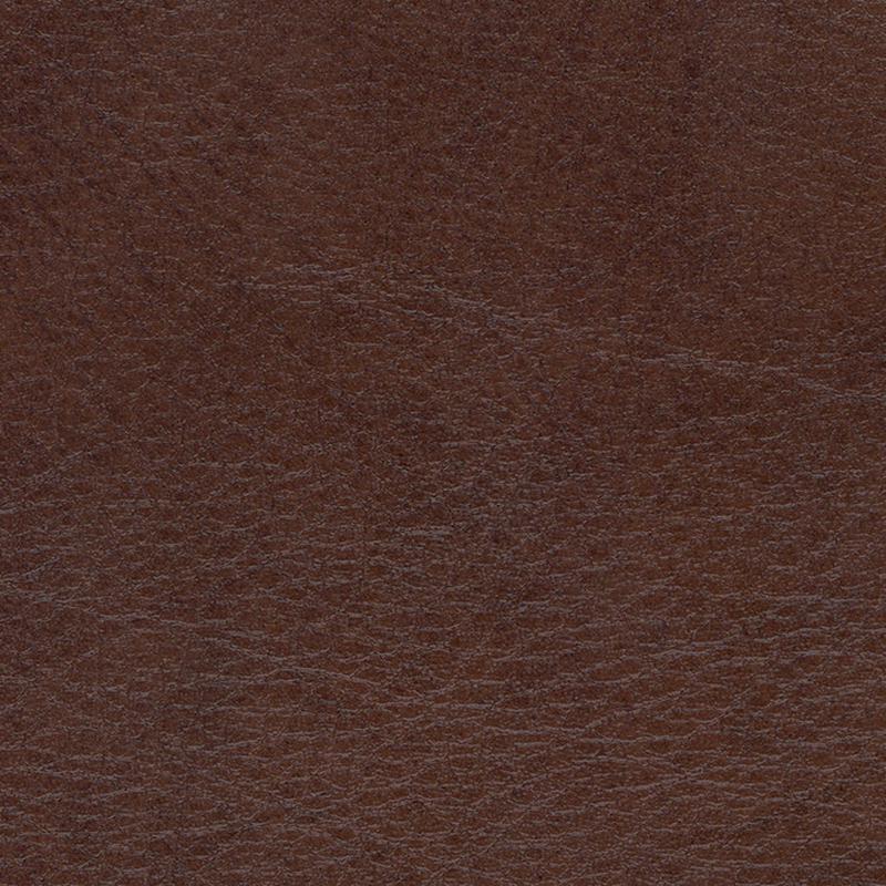 Allegro ALG 7066 Briarwood by Softside Fabric