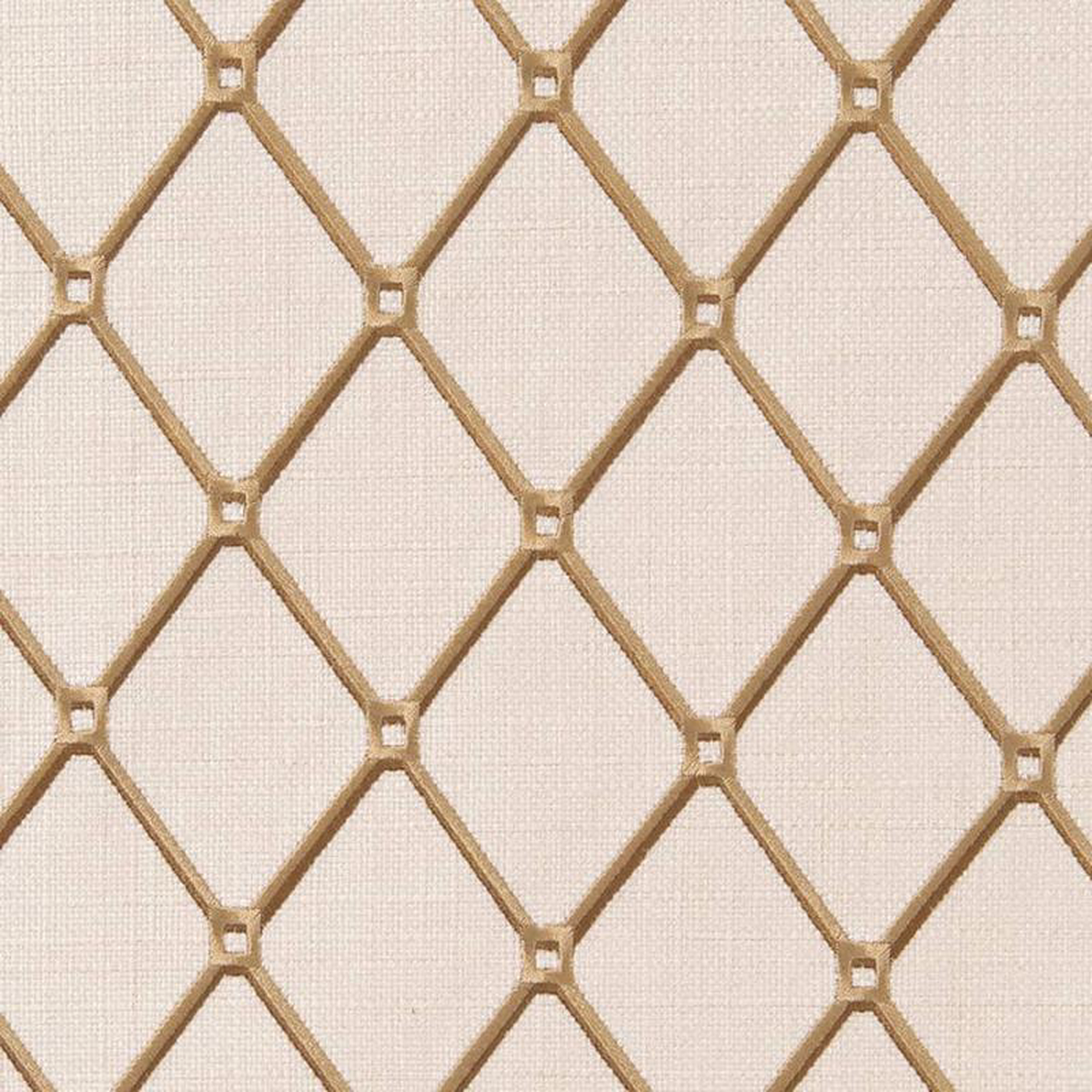 CB900-62 by Charlotte Fabric