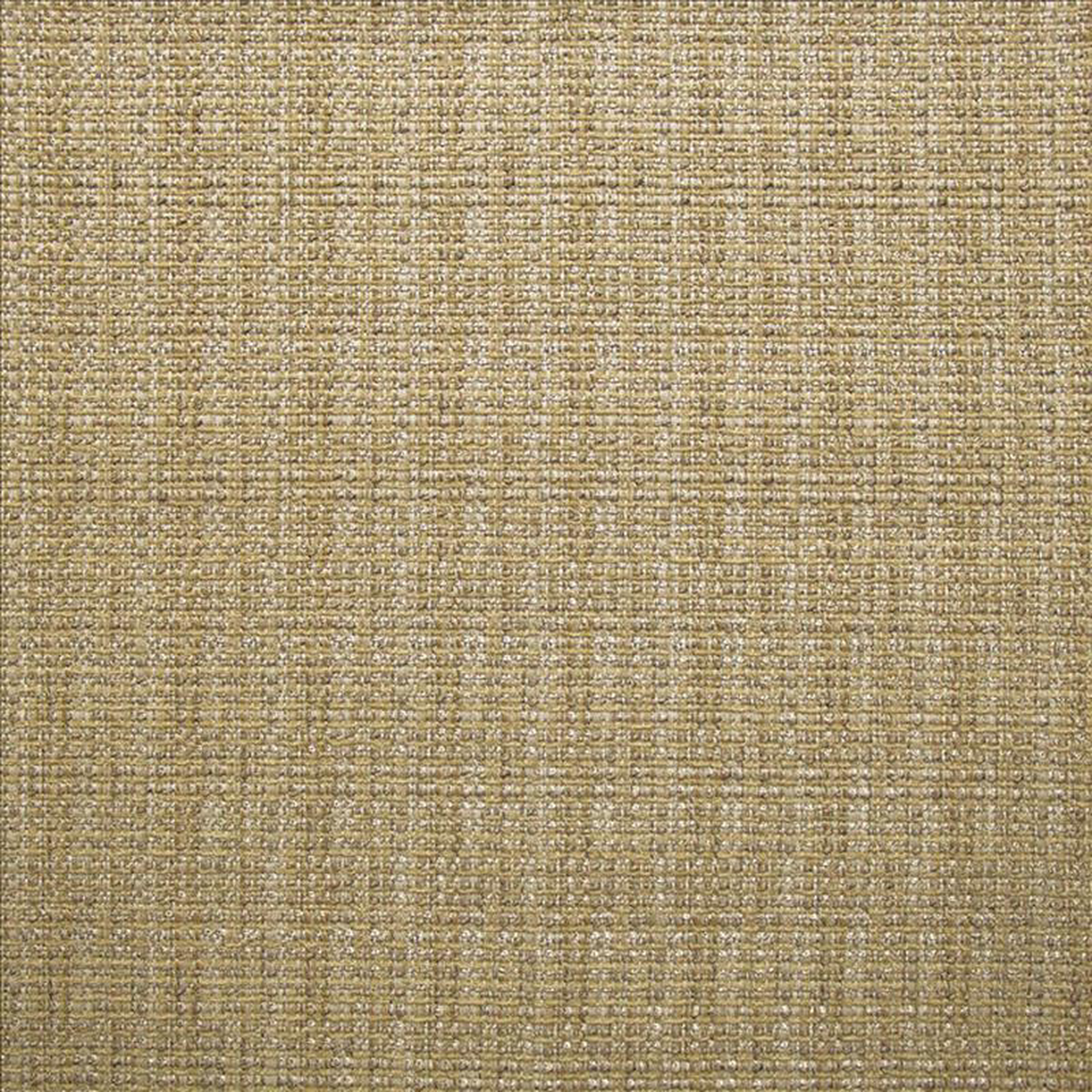 Bouvier Sisal by Kasmir Fabric
