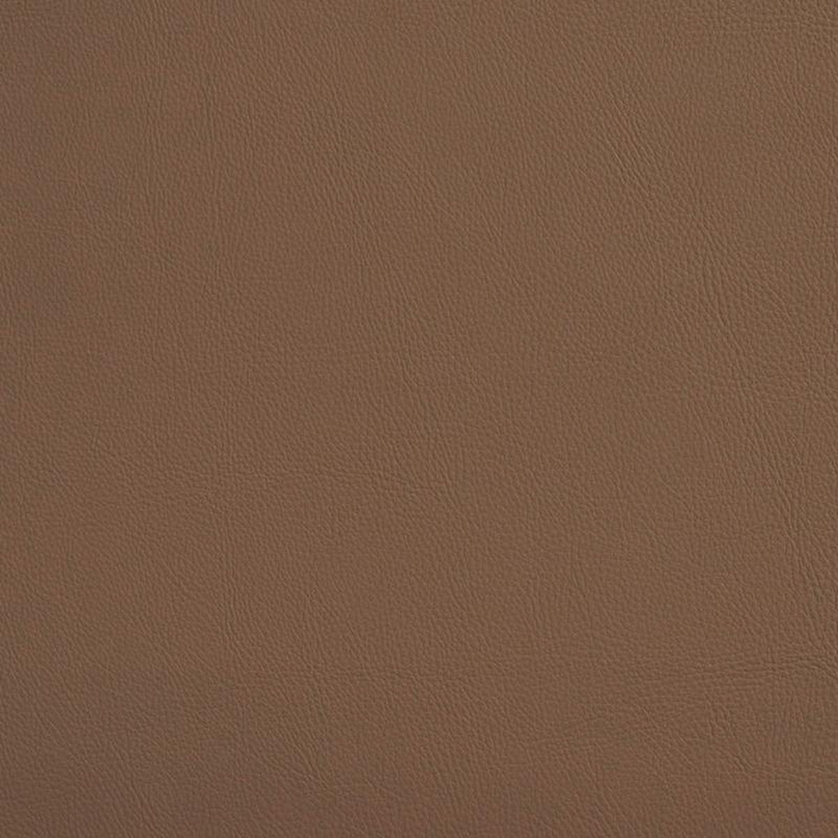 7450 Mushroom by Charlotte Fabric