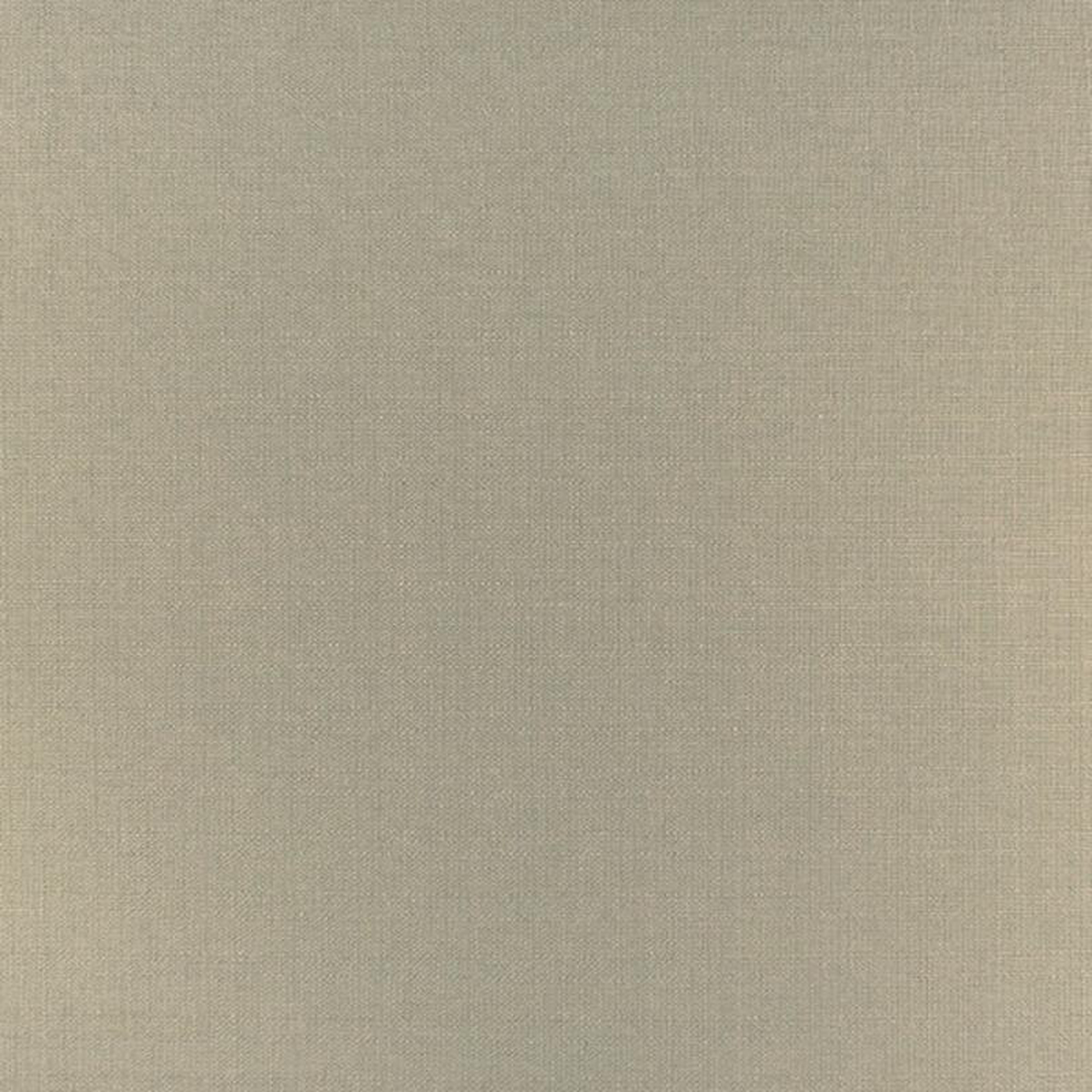 Moola 52301 by Barrow Fabric