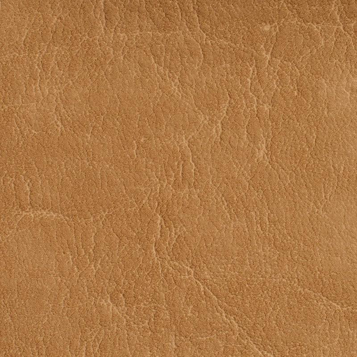 7618 Camel by Charlotte Fabric