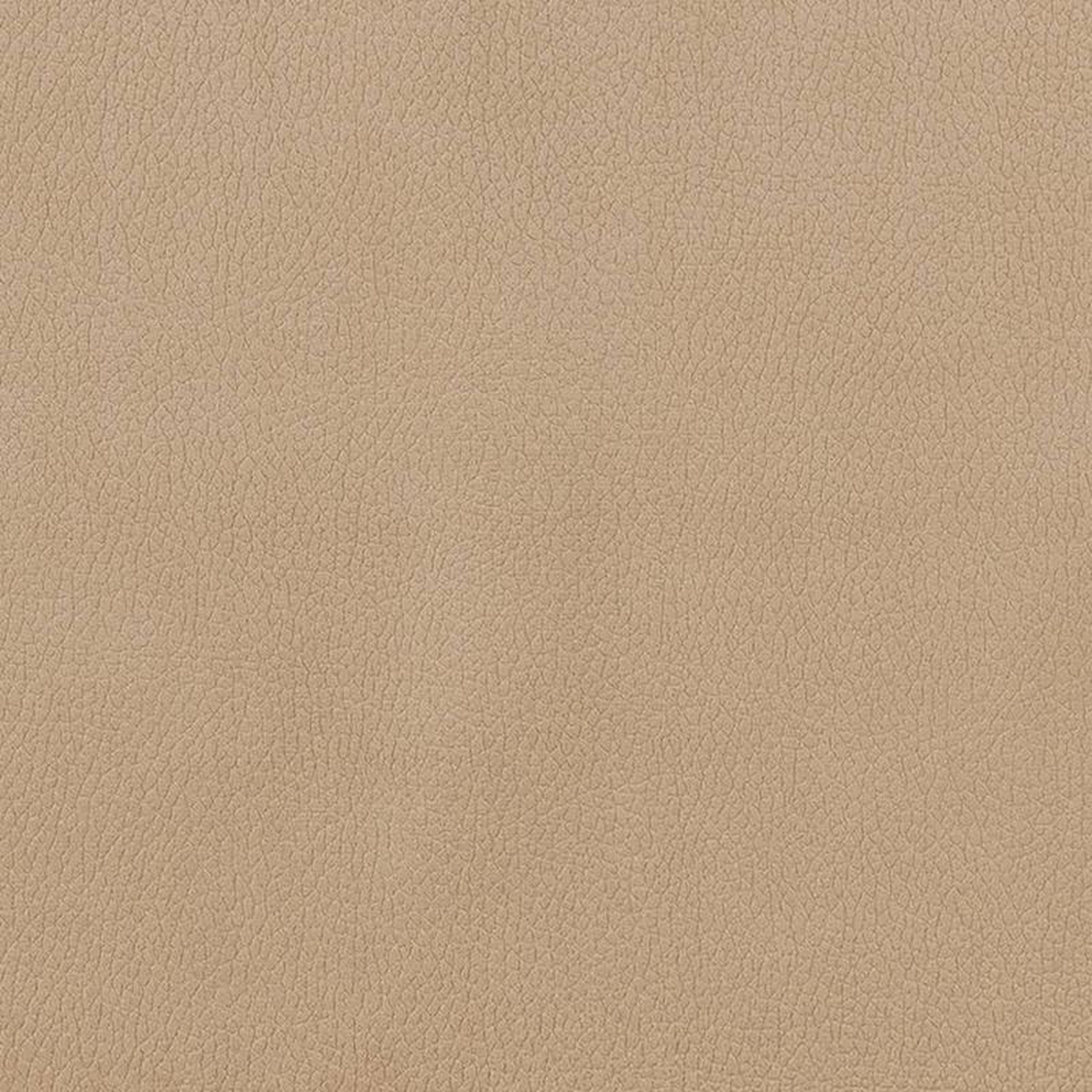 CB600-156 by Charlotte Fabric