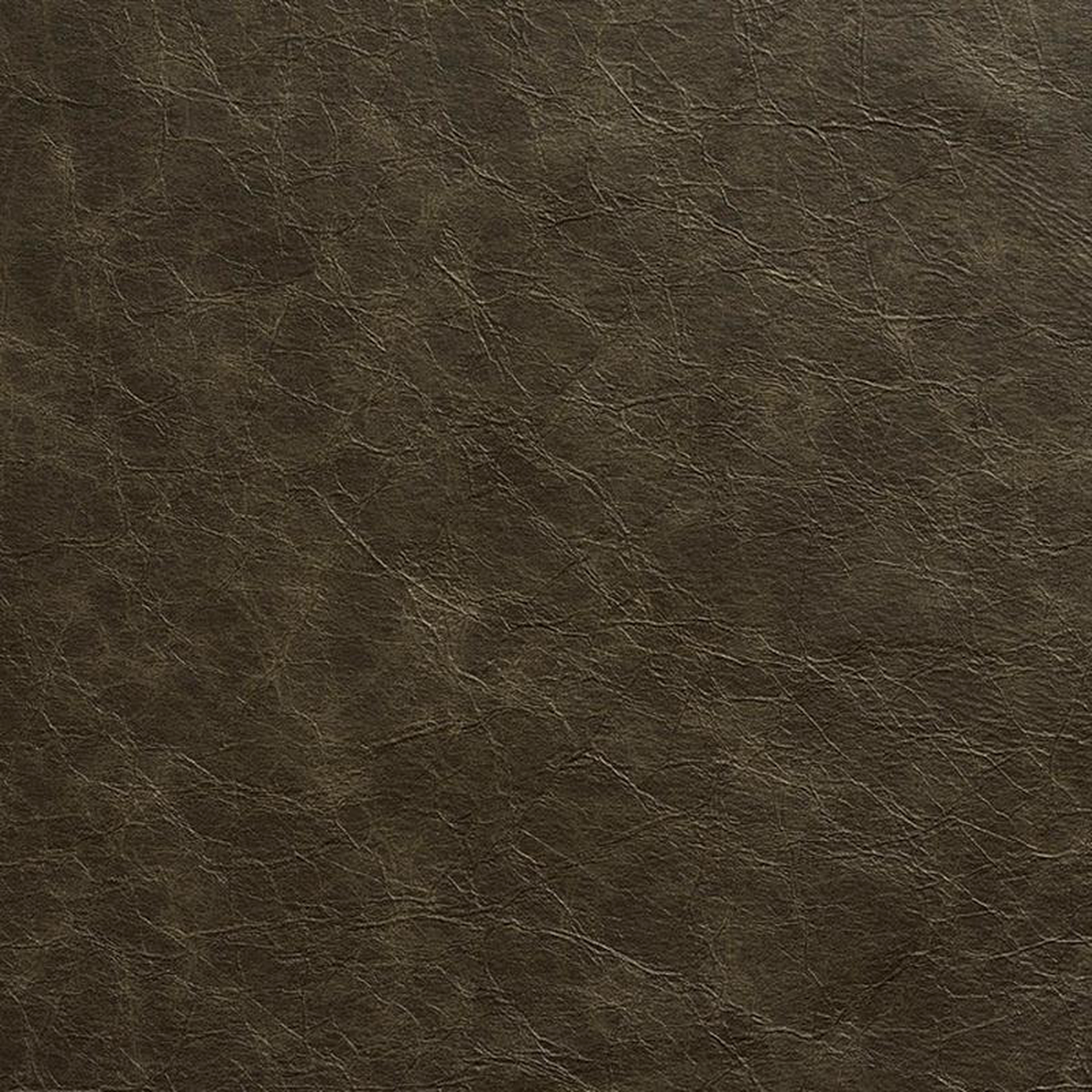 8284 Smoke by Charlotte Fabric