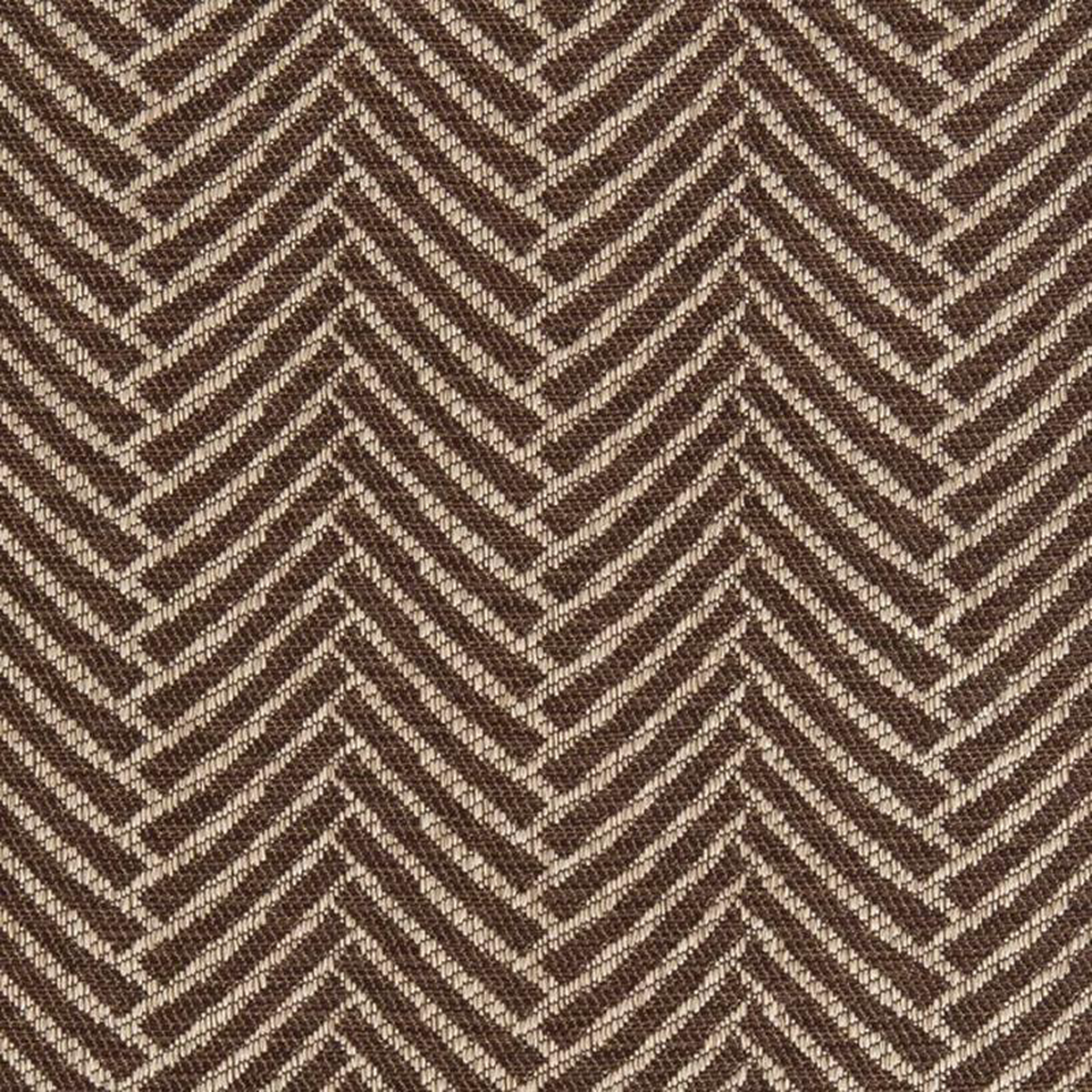 CB800-308 by Charlotte Fabric