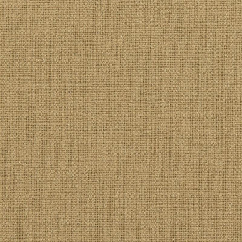 31000-05 by Charlotte Fabric