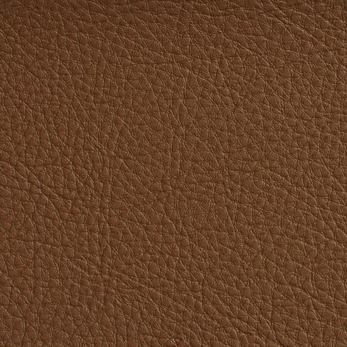7174 Brown by Charlotte Fabric