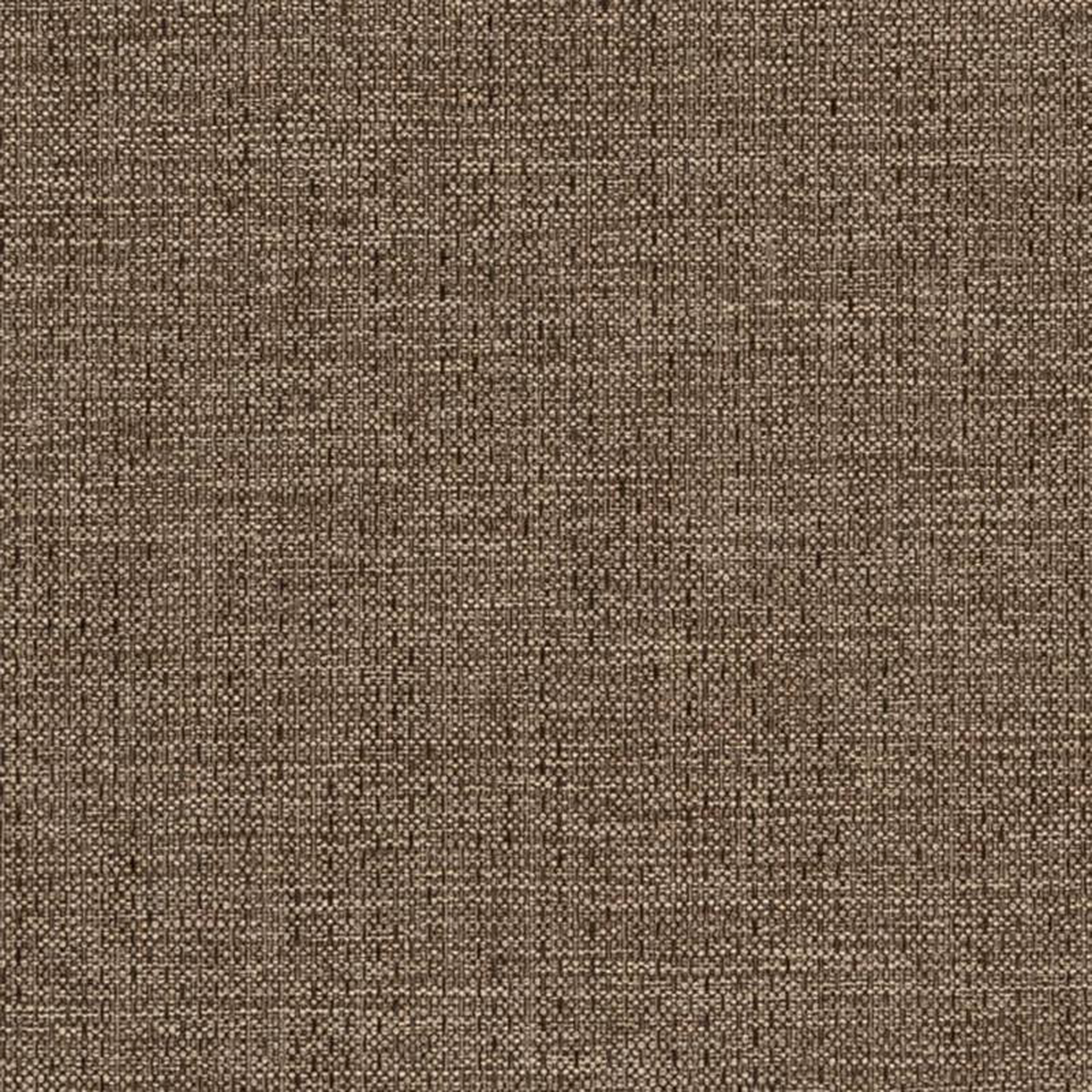 D2206 Hazelnut by Charlotte Fabric
