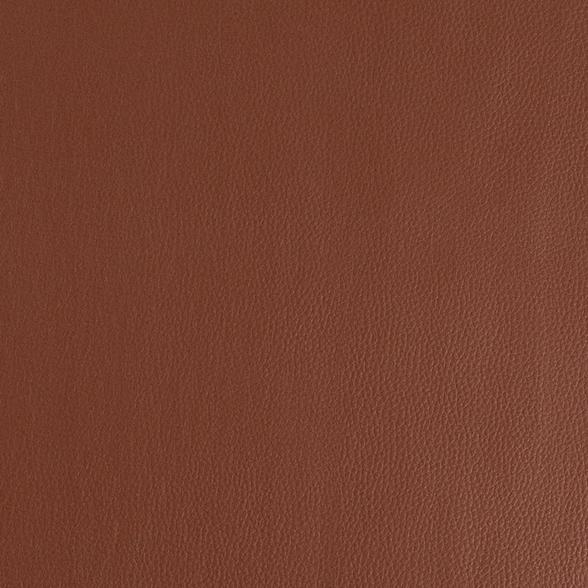 V923 Tawny by Charlotte Fabric
