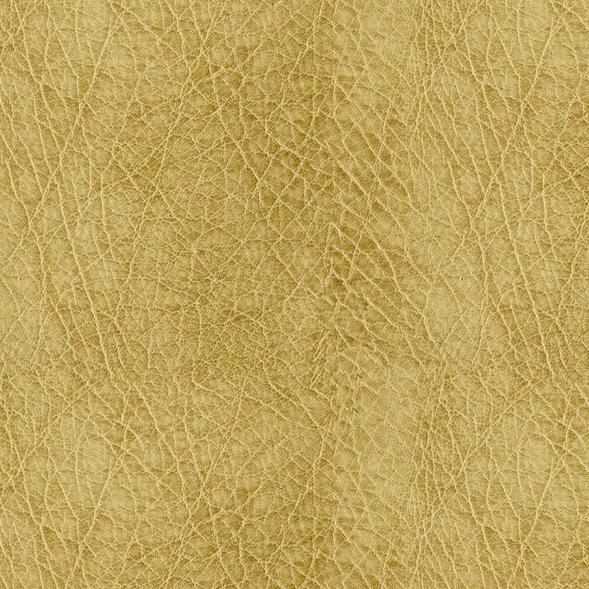 Houston 606 Honey by ABBEYSHEA Fabric
