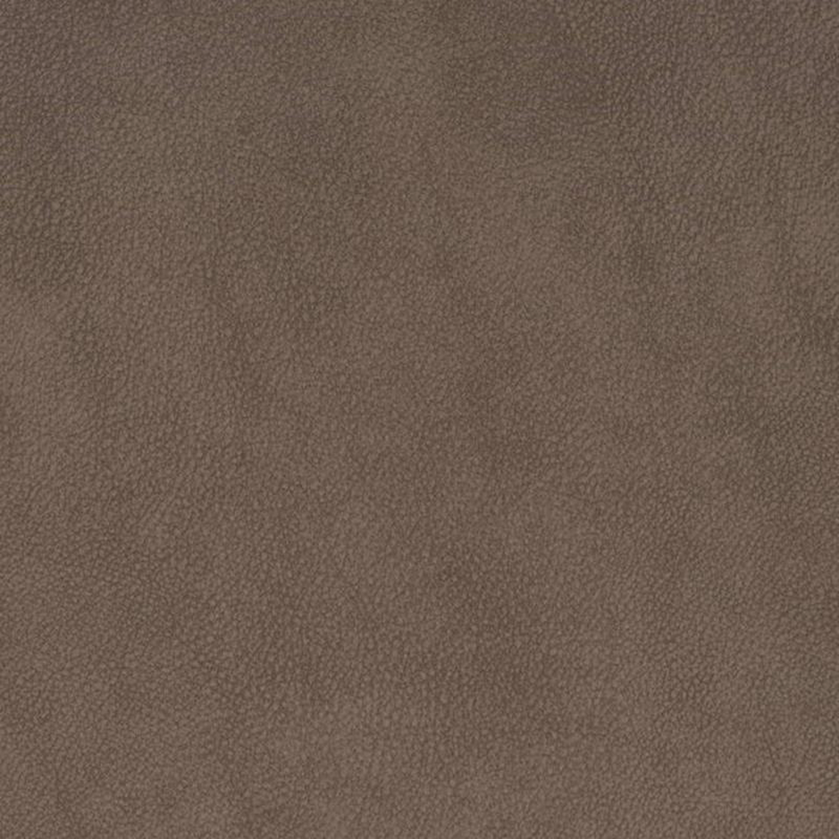 V881 Coffee by Charlotte Fabric