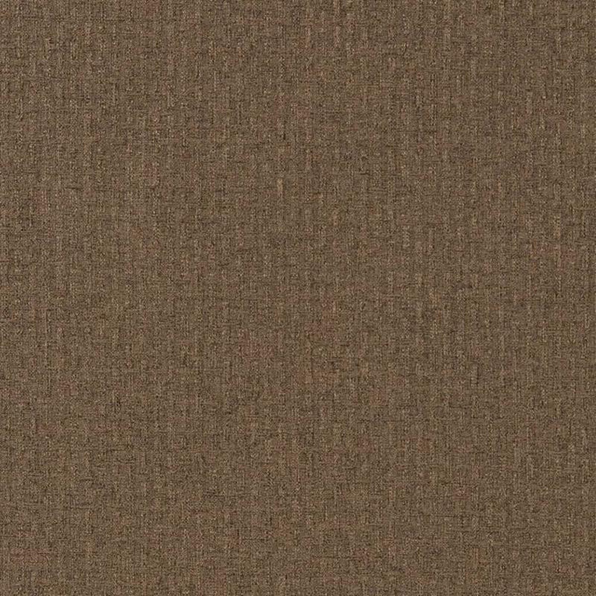 CB600-201 by Charlotte Fabric