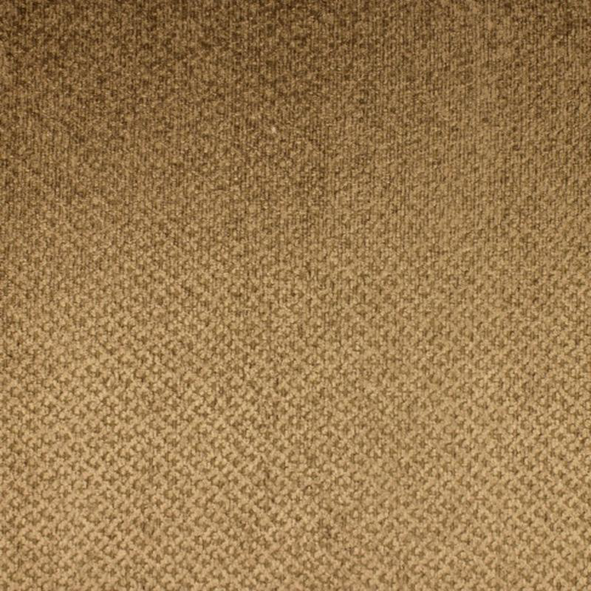 M6795 5326 by Barrow Fabric
