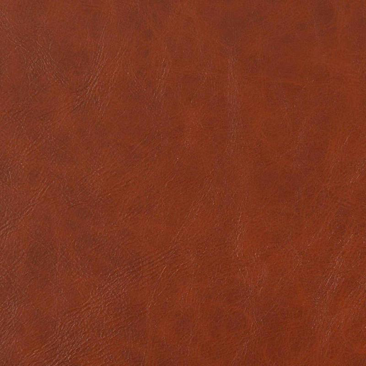 V635 Timber by Charlotte Fabric