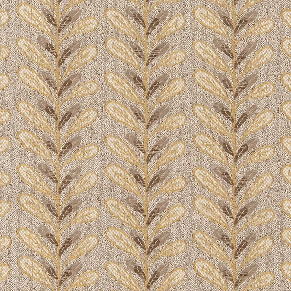 CB800-304 by Charlotte Fabric