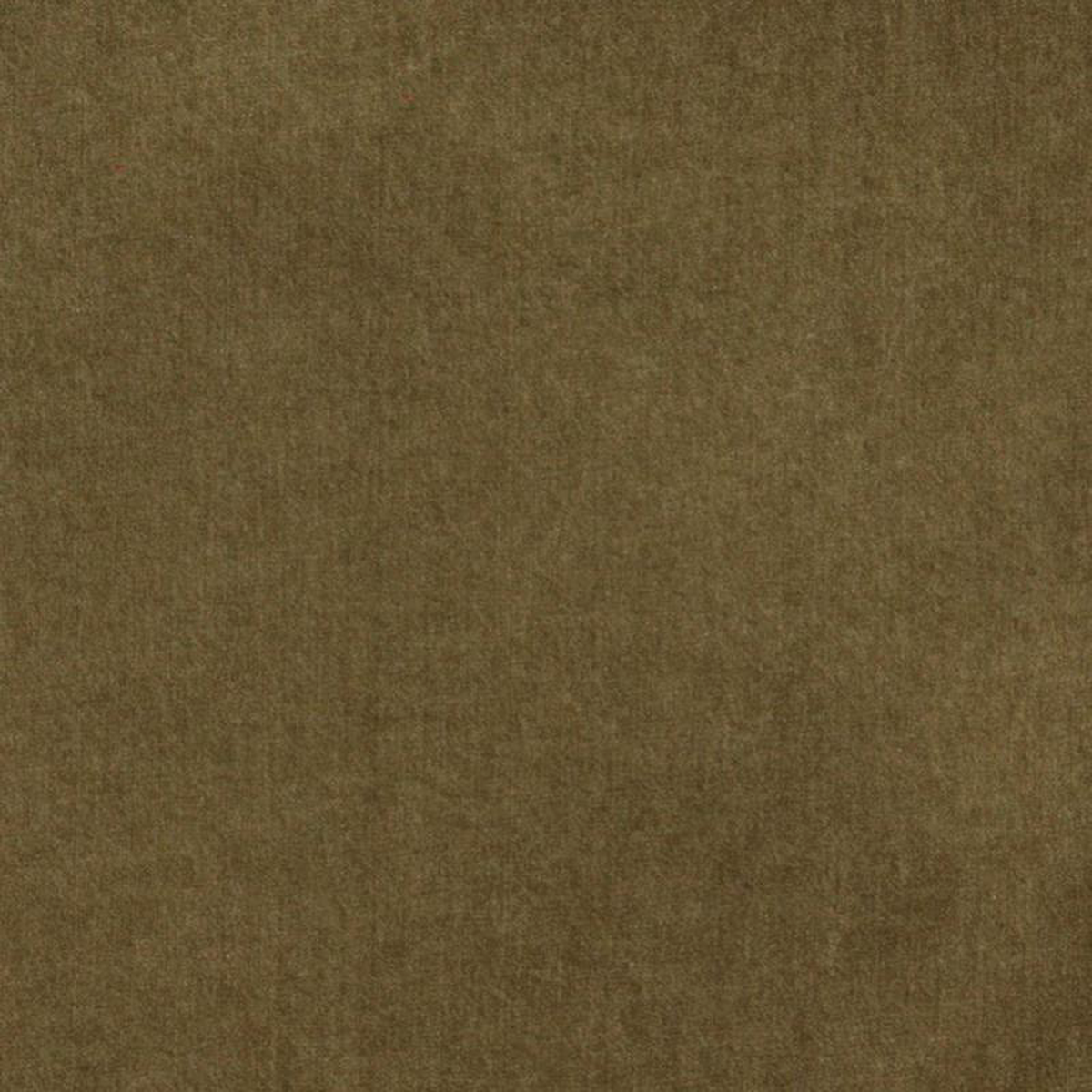 5002 Cocoa by Charlotte Fabric