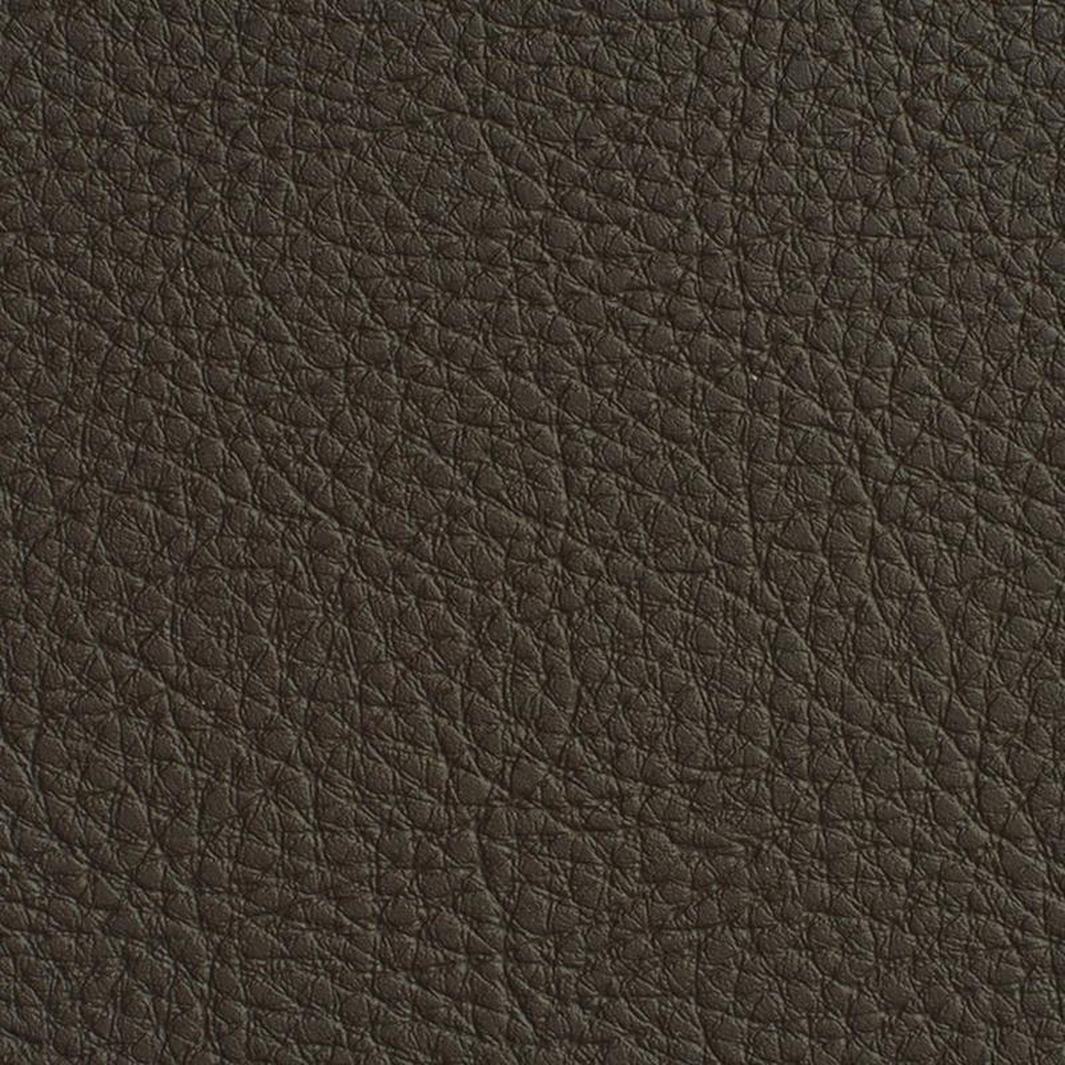 7186 Espresso by Charlotte Fabric