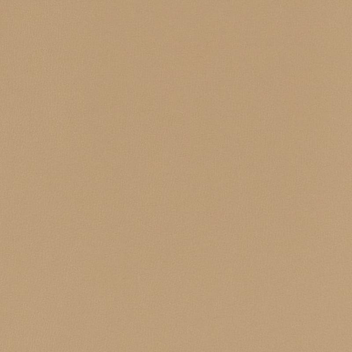 V781 Fawn by Charlotte Fabric