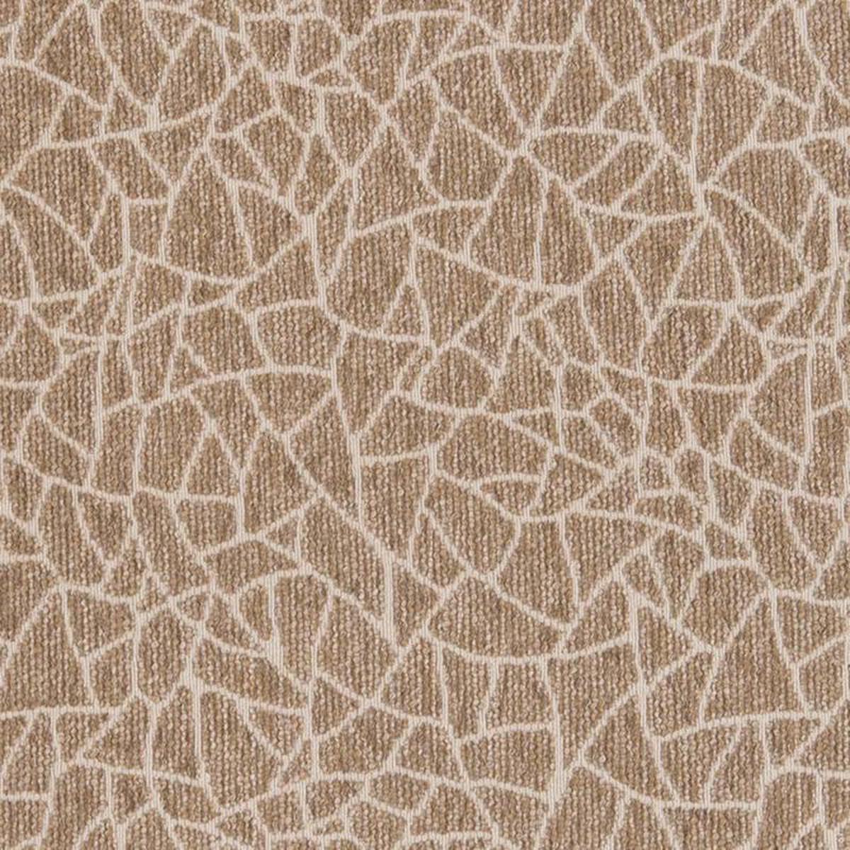 CB800-218 by Charlotte Fabric